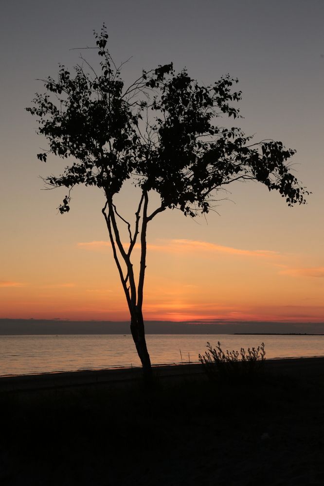 Photograph by 