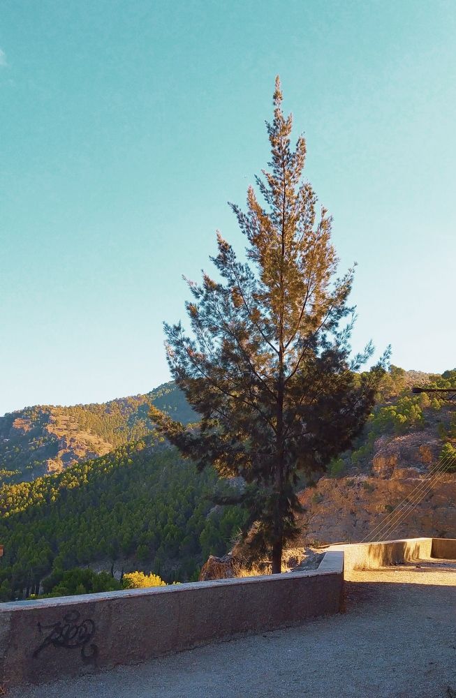 Photograph by Natalya Sedina