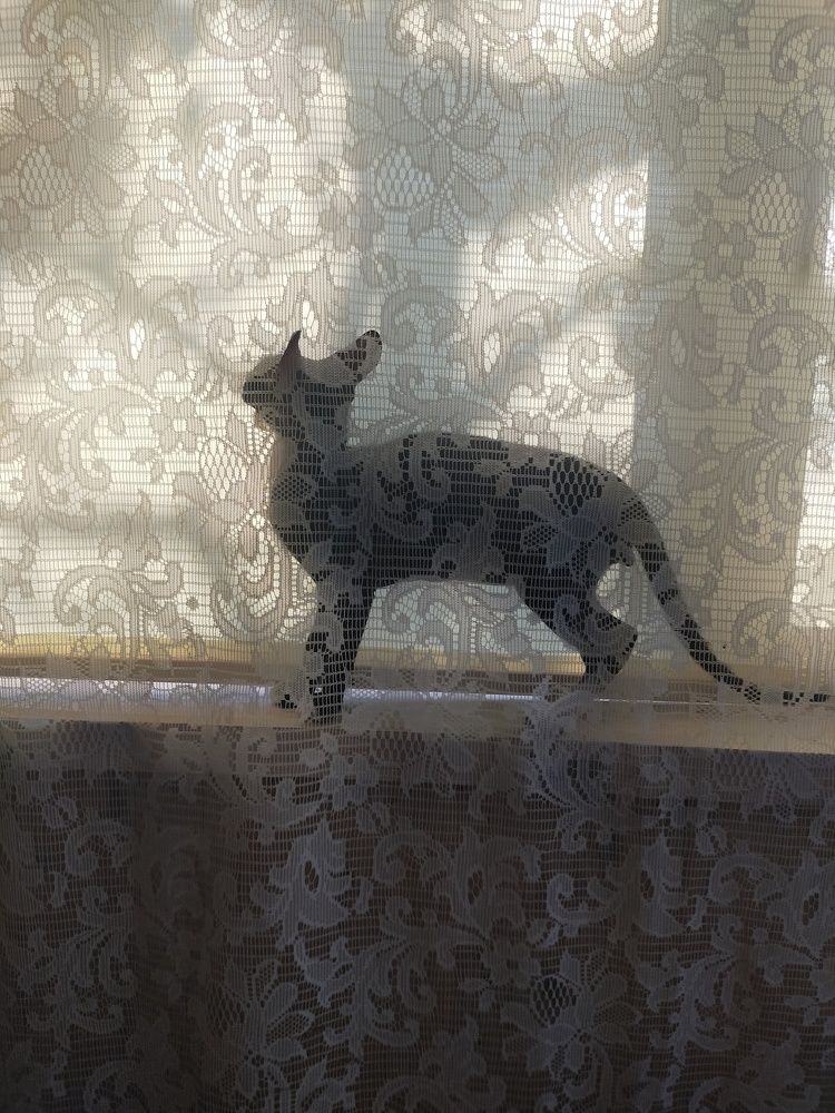 Photograph by Ольга Мартьянова