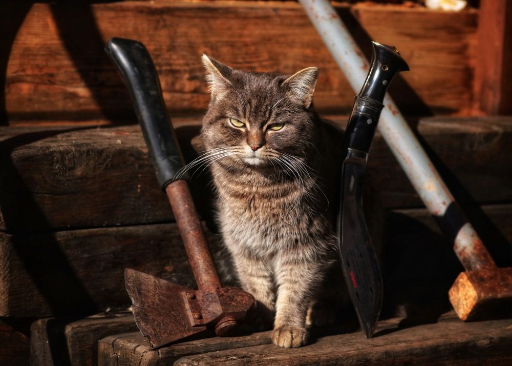 Photograph by Артемий