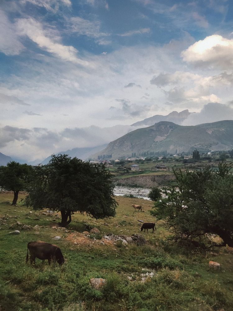 Photograph by Алексей Андреев