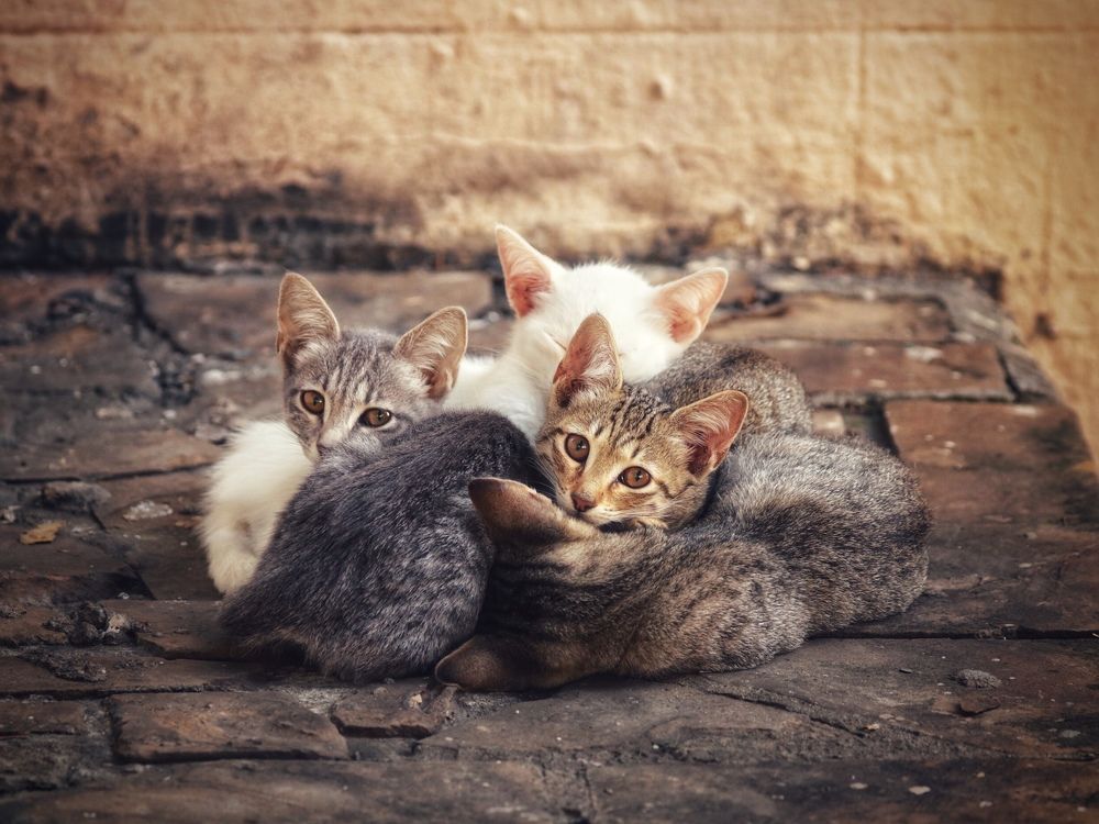 Photograph by Артемий