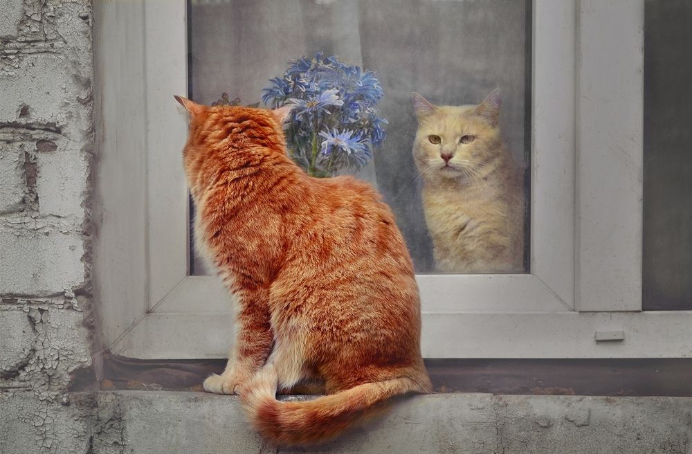 Photograph by Дарья