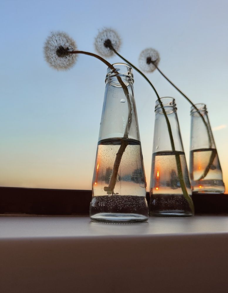 Photograph by Наталья Адалинская