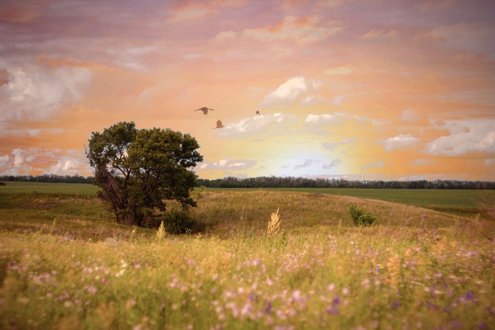 Photograph by Елена Рудкевич