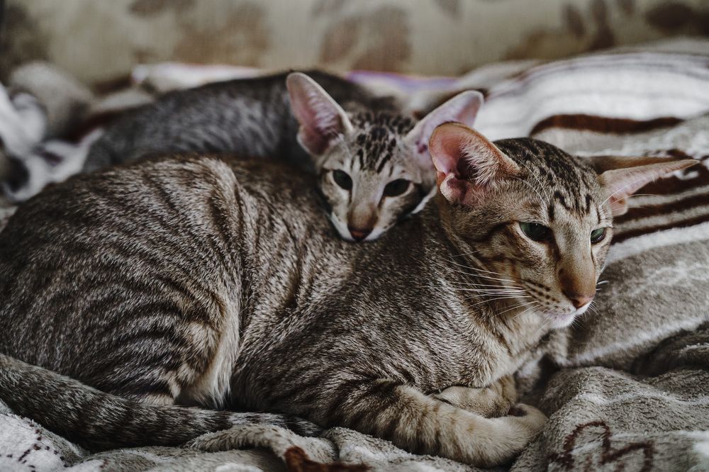 Photograph by Людмила Щепилова