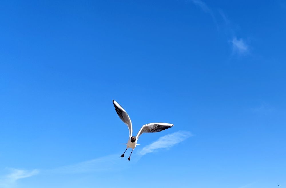 Фотография автора Ekaterina Sapezhinskaya