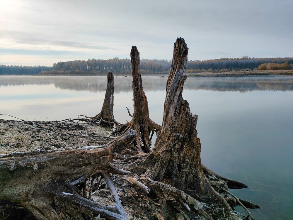 Photograph by Kirill Frolov