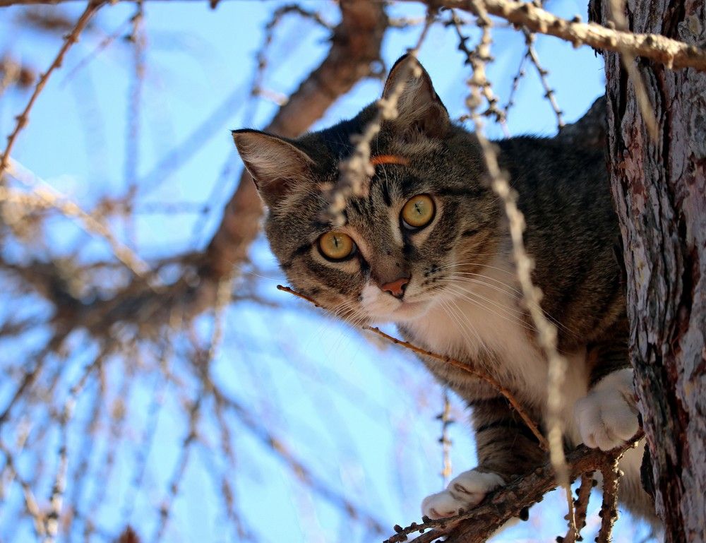 Photograph by Галина Мазур