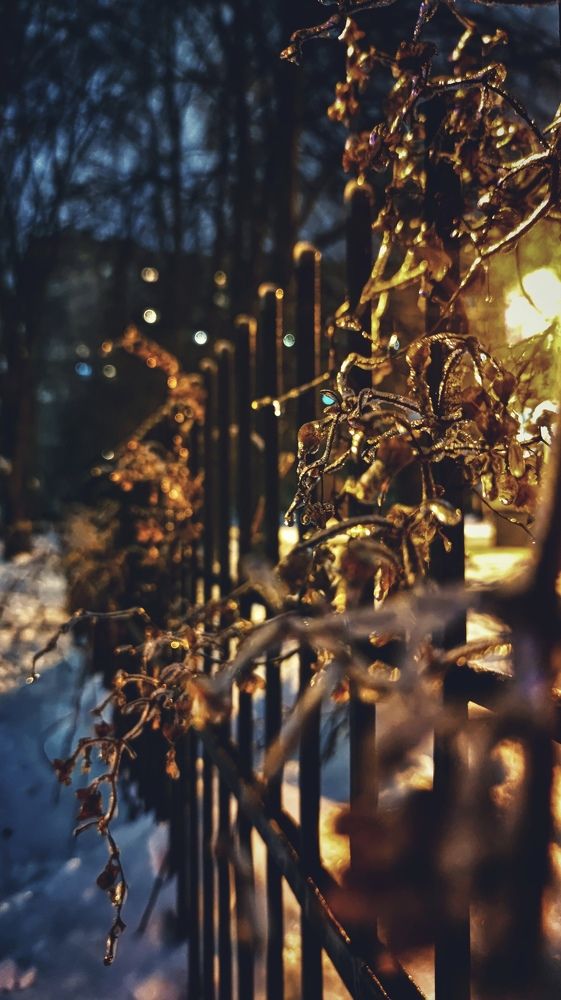 Фотография автора Ekaterina Sapezhinskaya