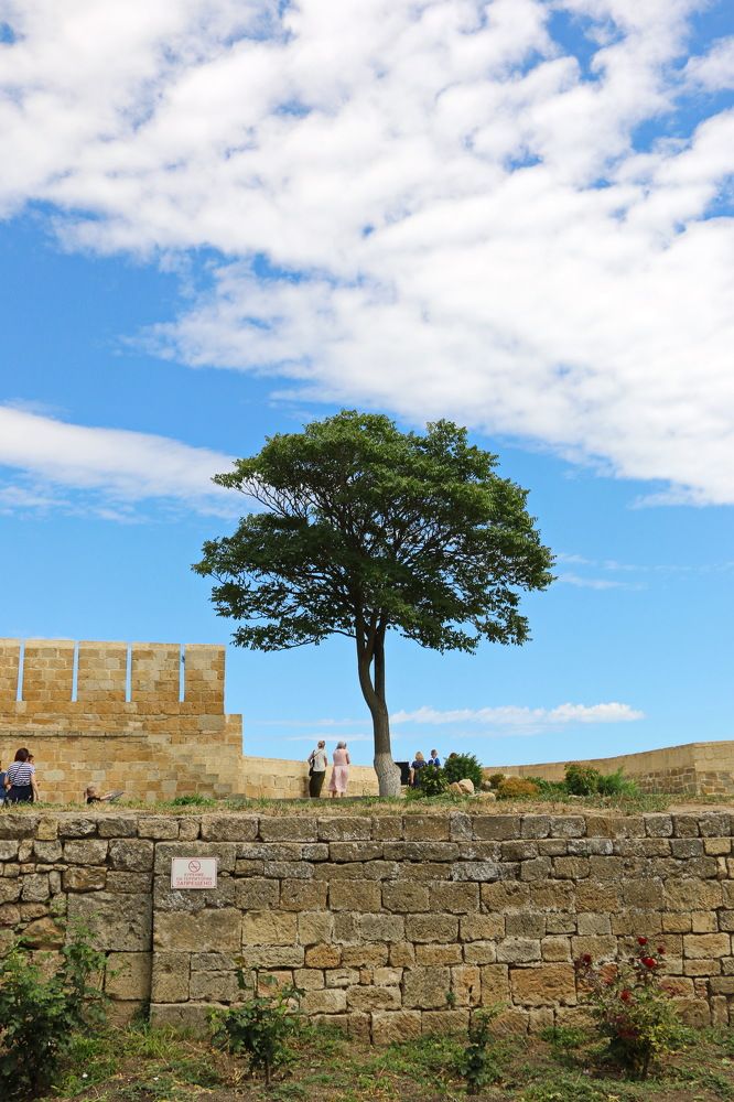 Photograph by Виталий Черепенькин