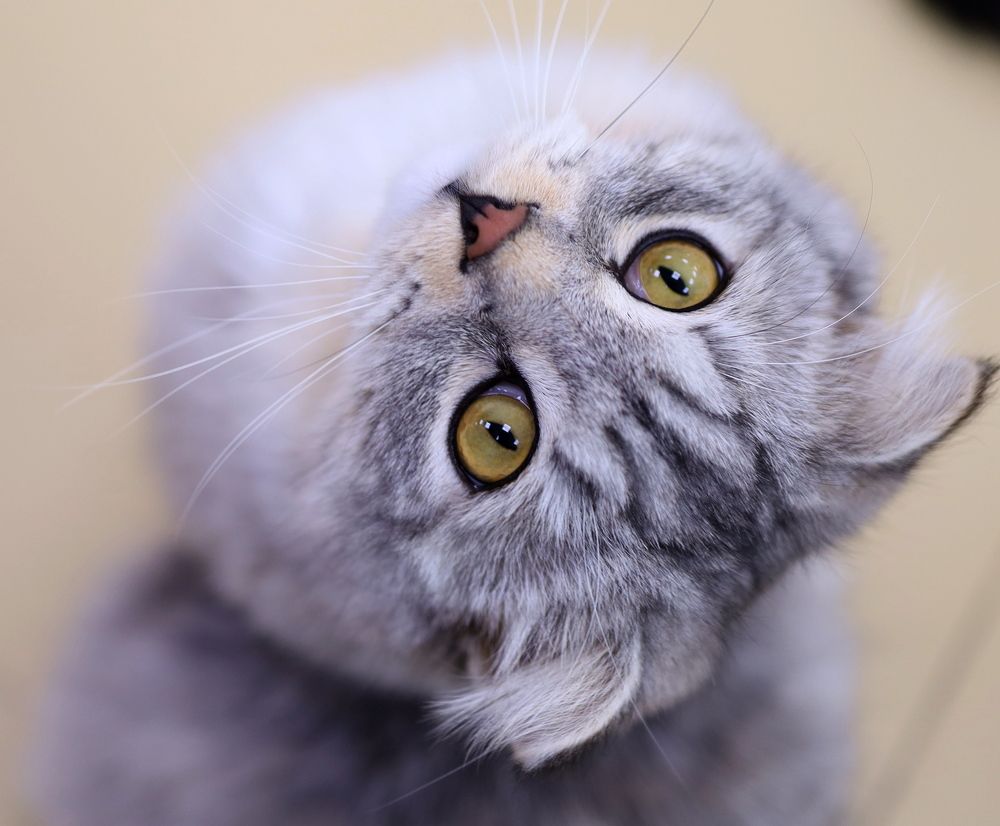 Photograph by Наталья Адалинская