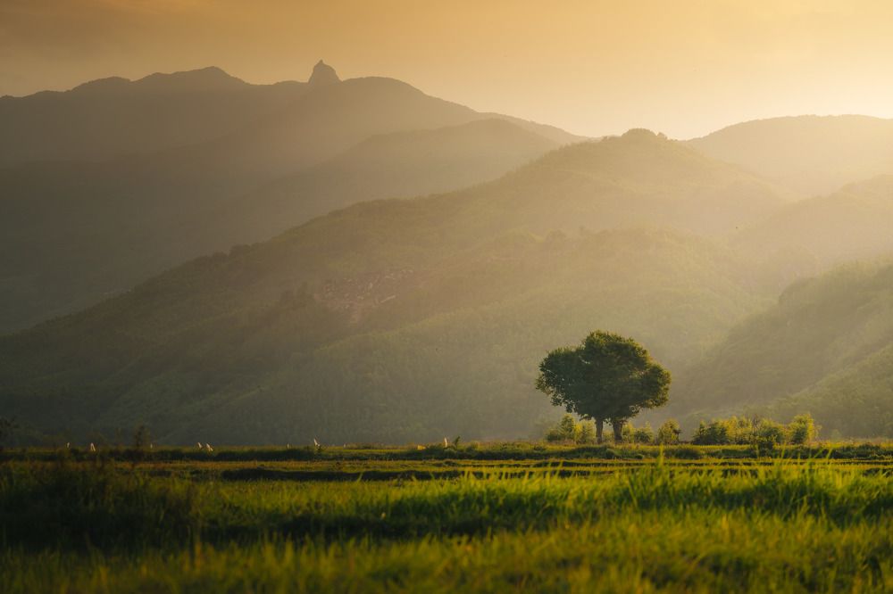 Loneliness in the sunset
