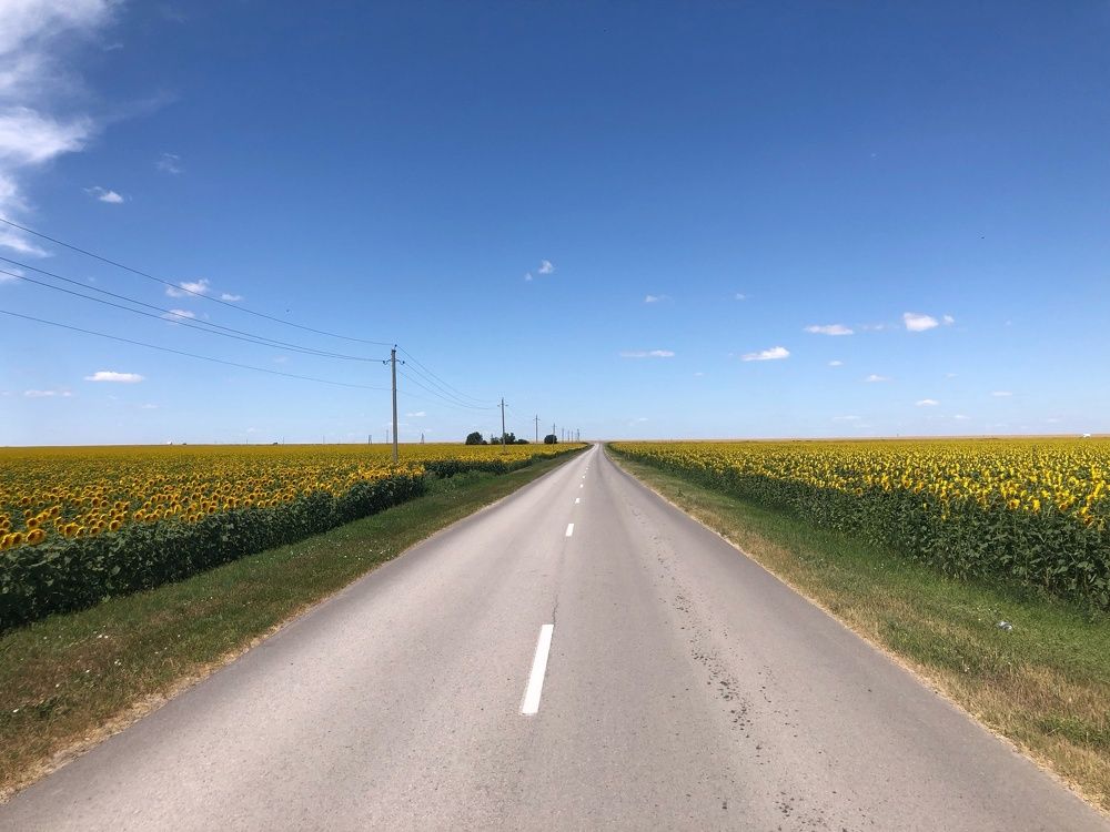 Photograph by Павел Вихрев