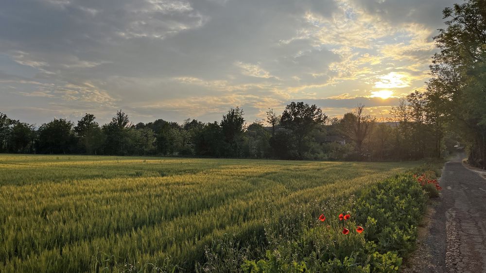 Al tramonto, sulla strada di casa