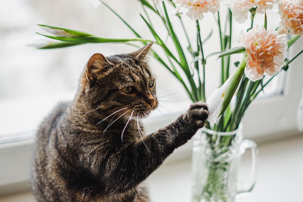 Photograph by Людмила Щепилова