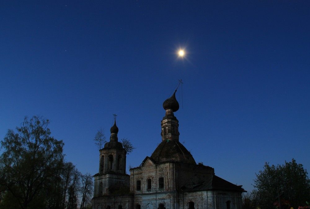 Фотография автора Светлана Терехова