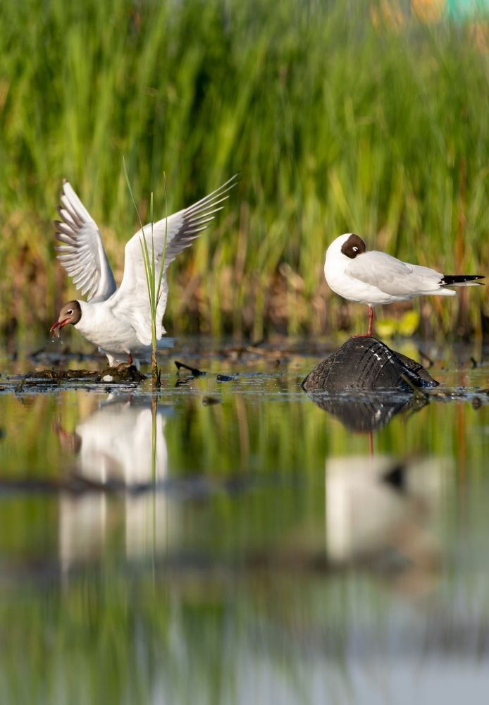 Photograph by Александр Белов