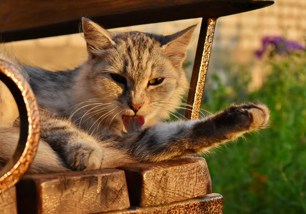 Photograph by Роман Пацкевич