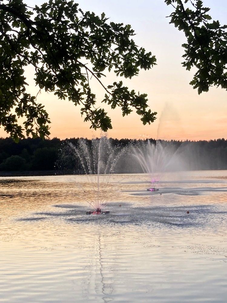 Тихий вечер