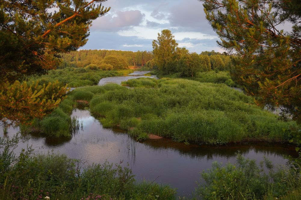 Устье реки Большая Коша