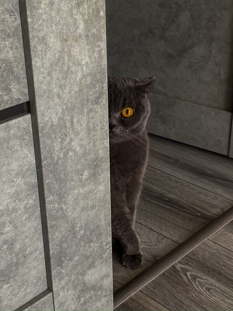 Photograph by Диана Лукашевич