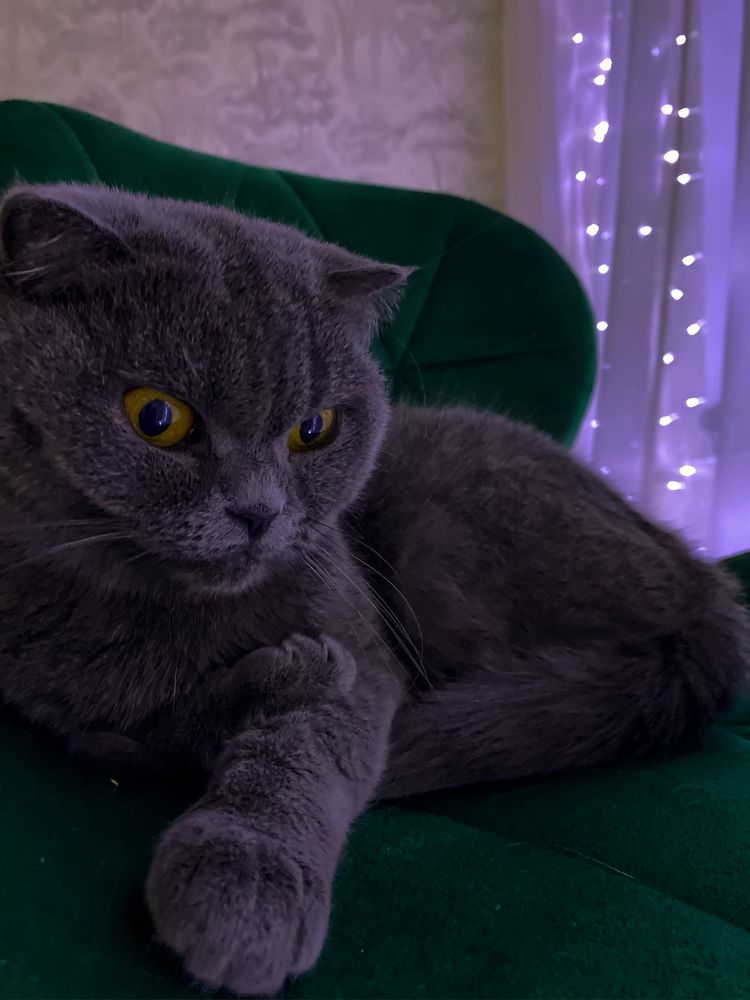 Photograph by Диана Лукашевич