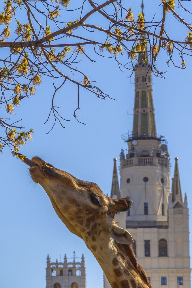 Photograph by Андрей