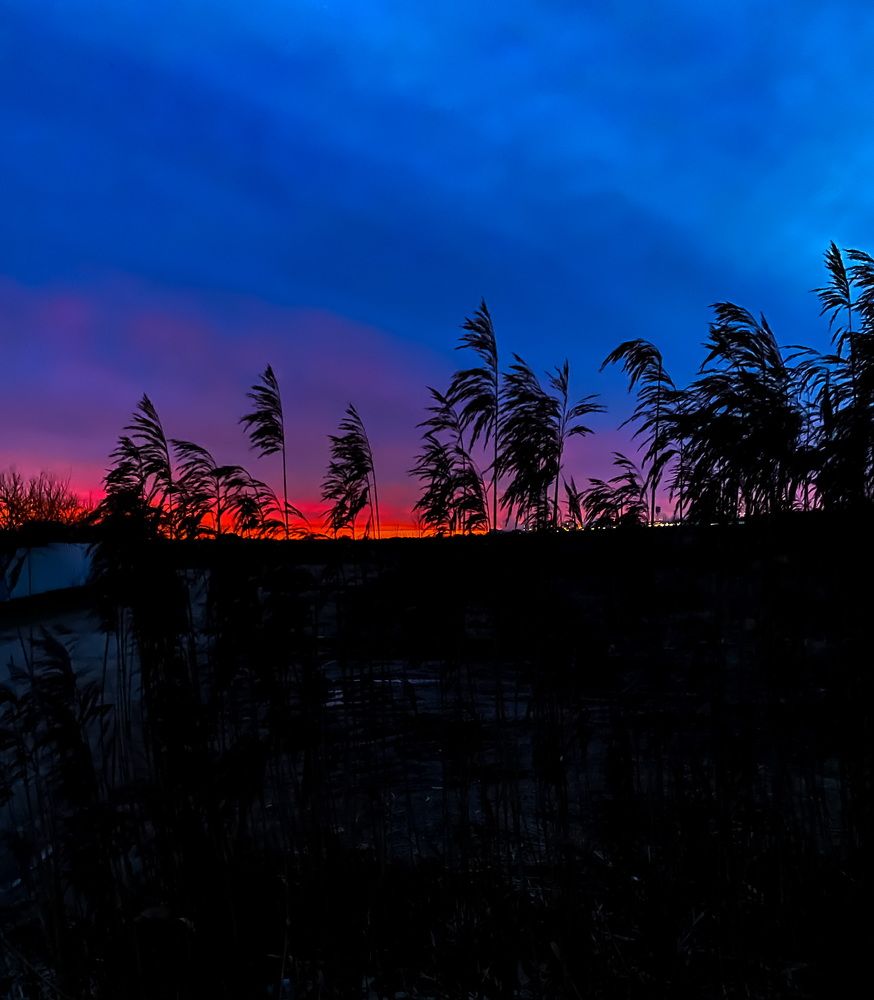 Photograph by Диана Лукашевич