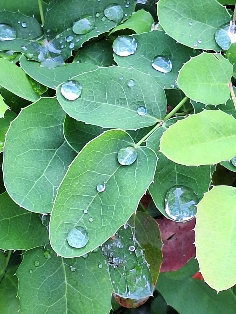 Photograph by Олег