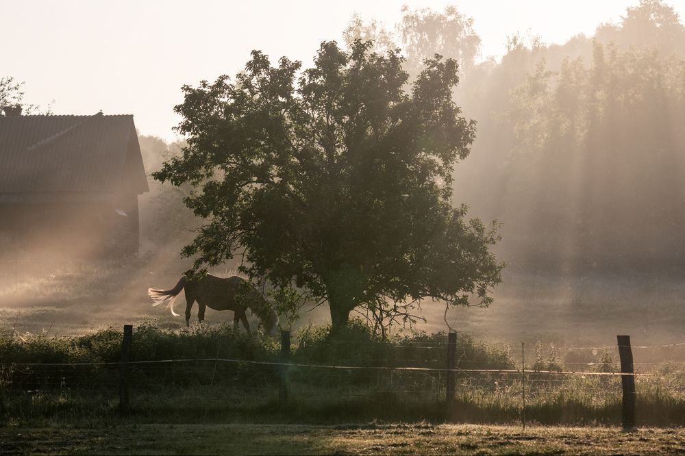 Photograph by Юлия Лаптева
