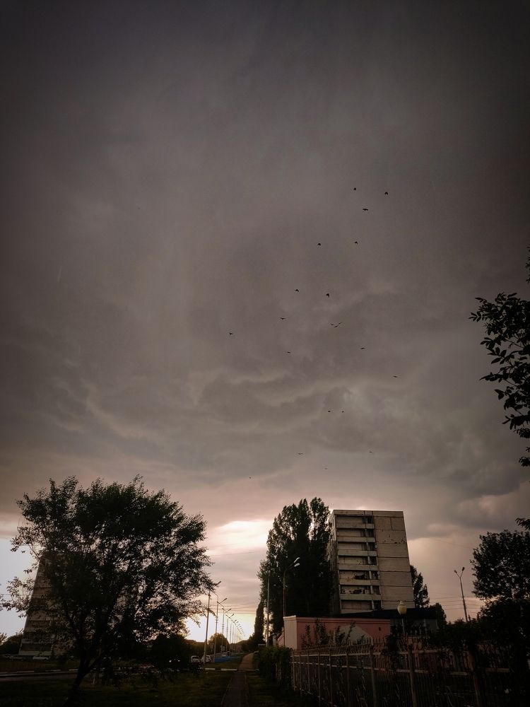 Photograph by Елизавета Карюченко