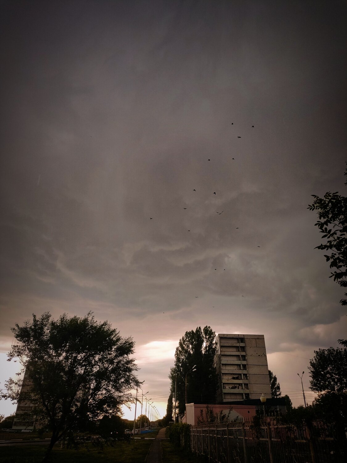 Photo #10757868
