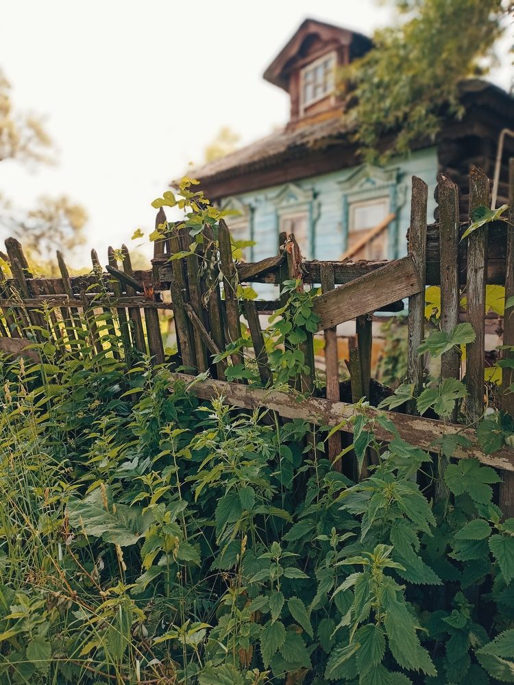 Фотография автора Наталия Барнева