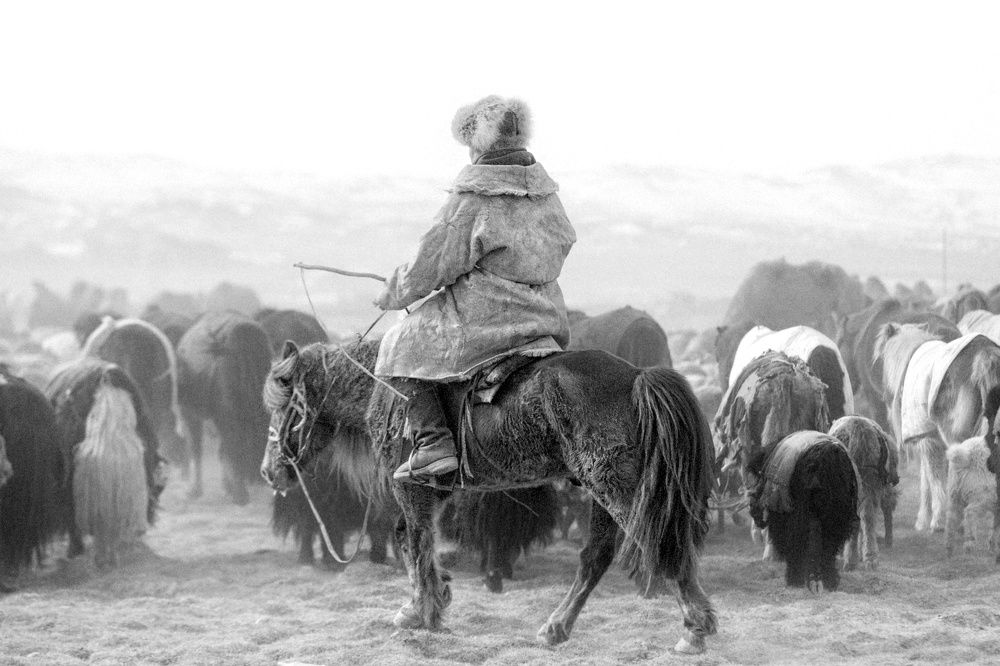 Photograph by Josef Buergi