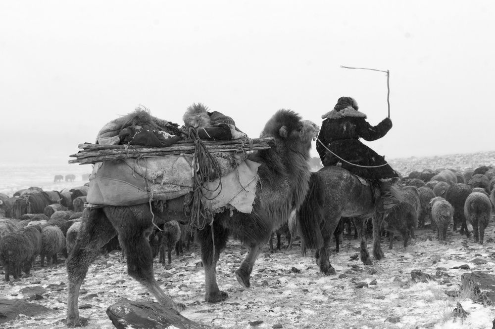 Photograph by Josef Buergi