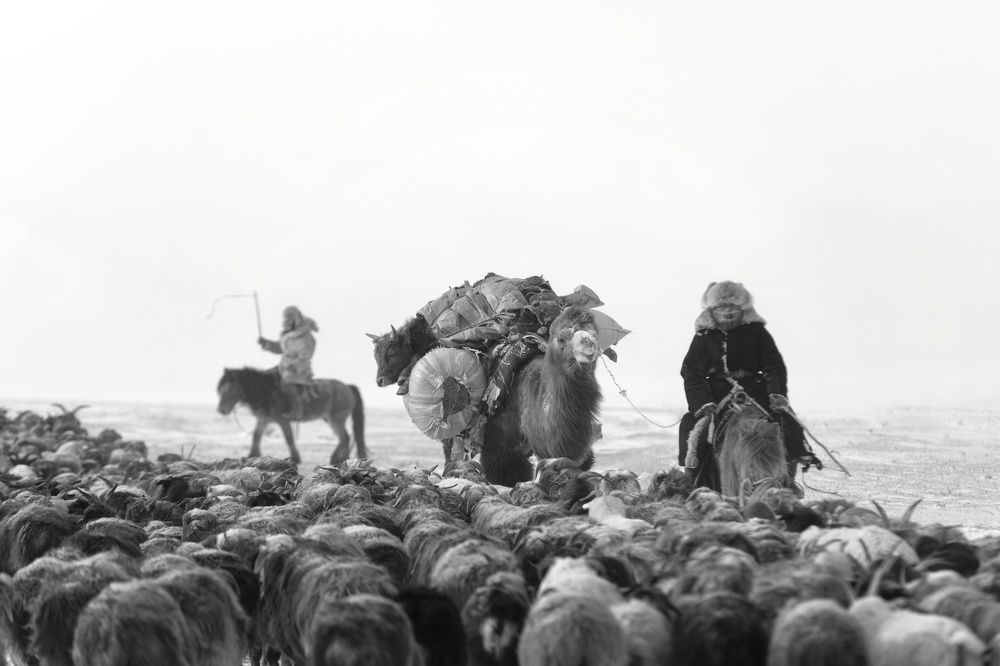 Photograph by Josef Buergi