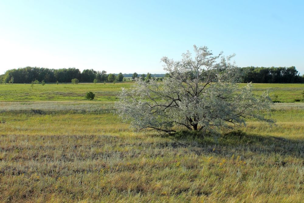 Photograph by Юрий Варюхин