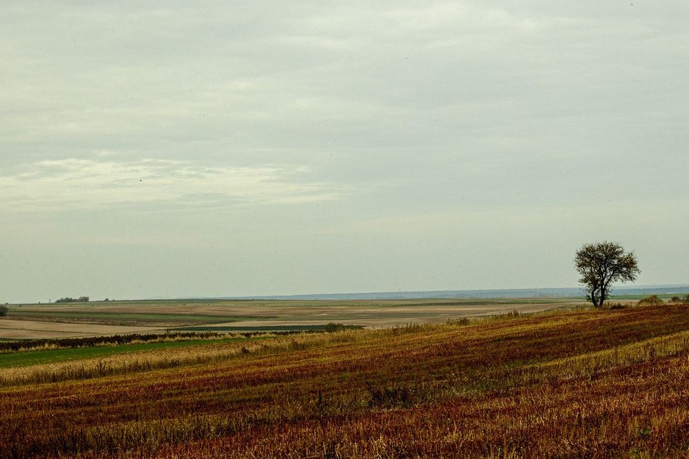 Photograph by Anna Suchcicka