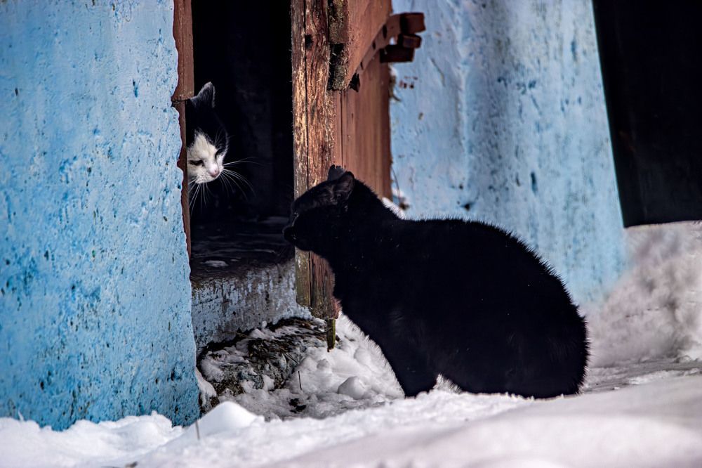 Photograph by Anna Suchcicka