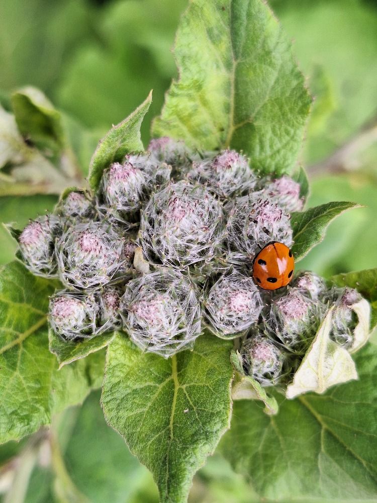 Photograph by Олег