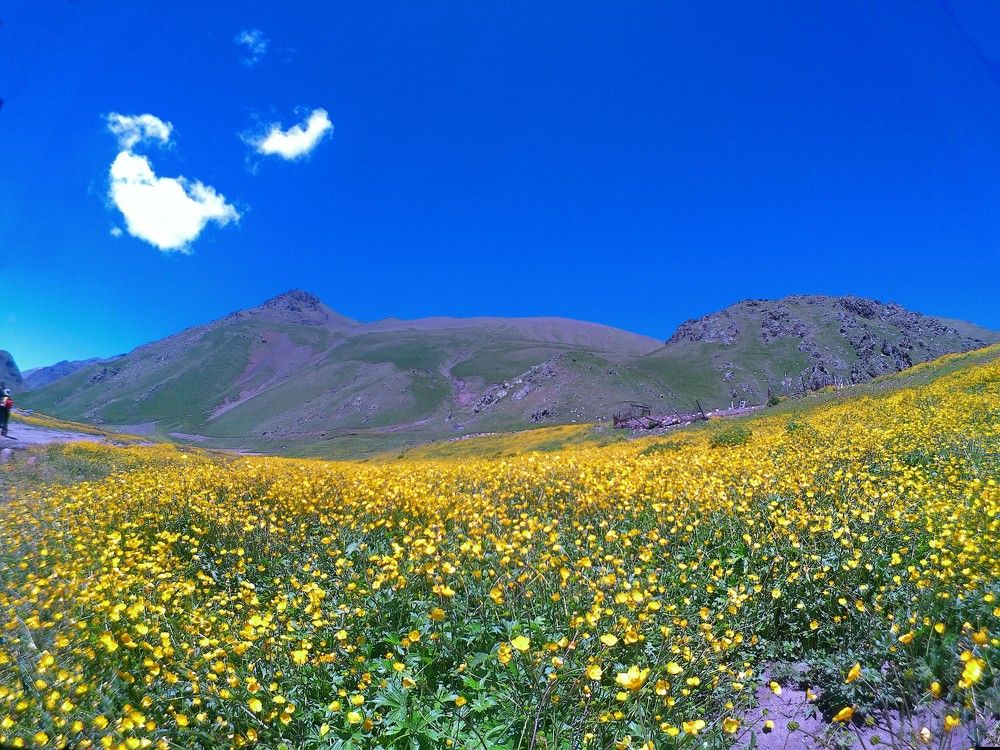 Photograph by Ольга Шевцова