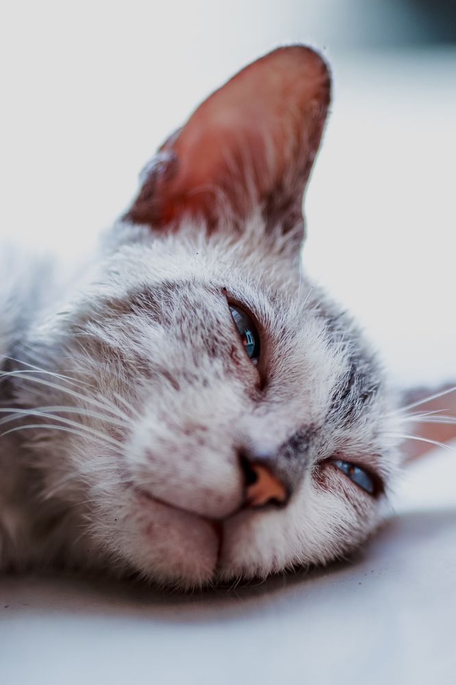 Фотография автора Risky Ramadhani