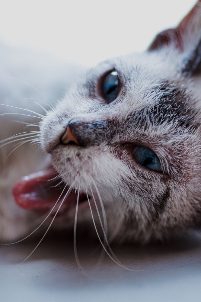 Фотография автора Risky Ramadhani