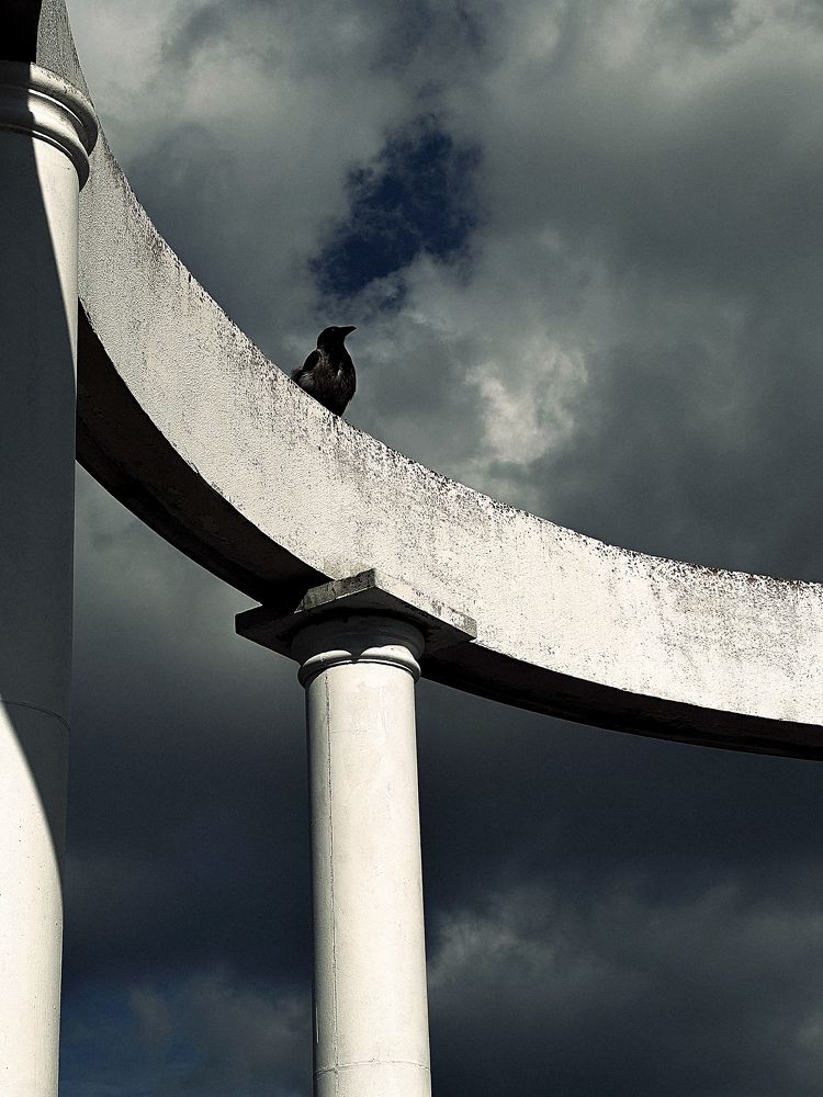 Photograph by Диана Бадеева