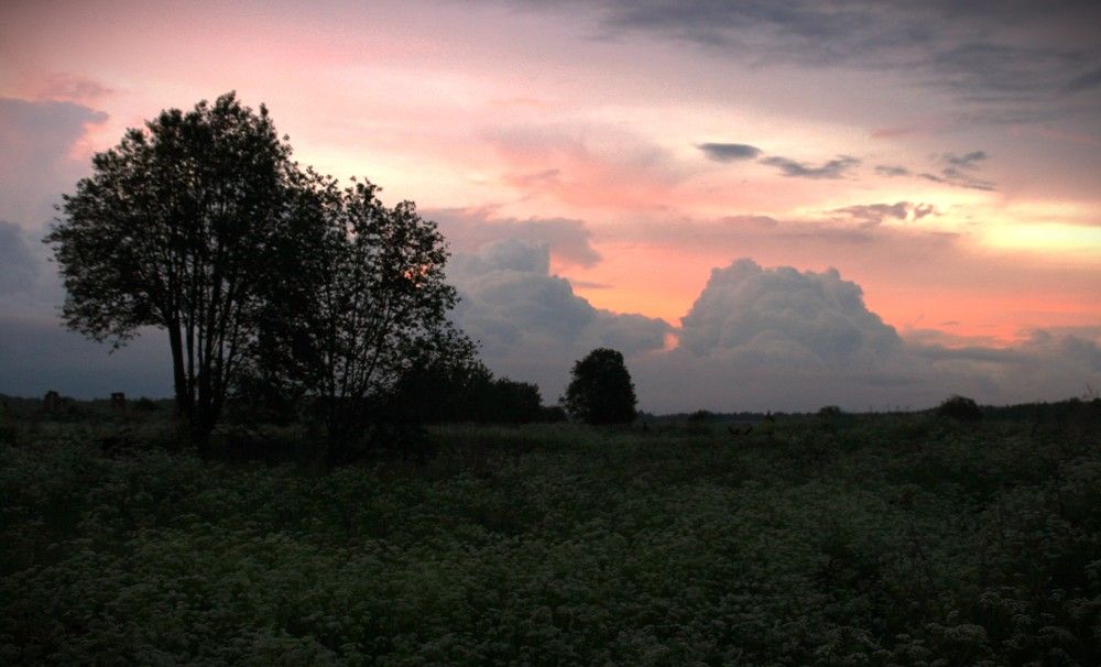 Фотография автора Светлана Терехова