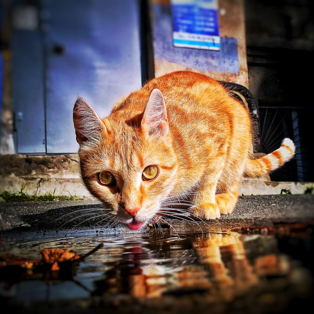 Photograph by Артем Великанов