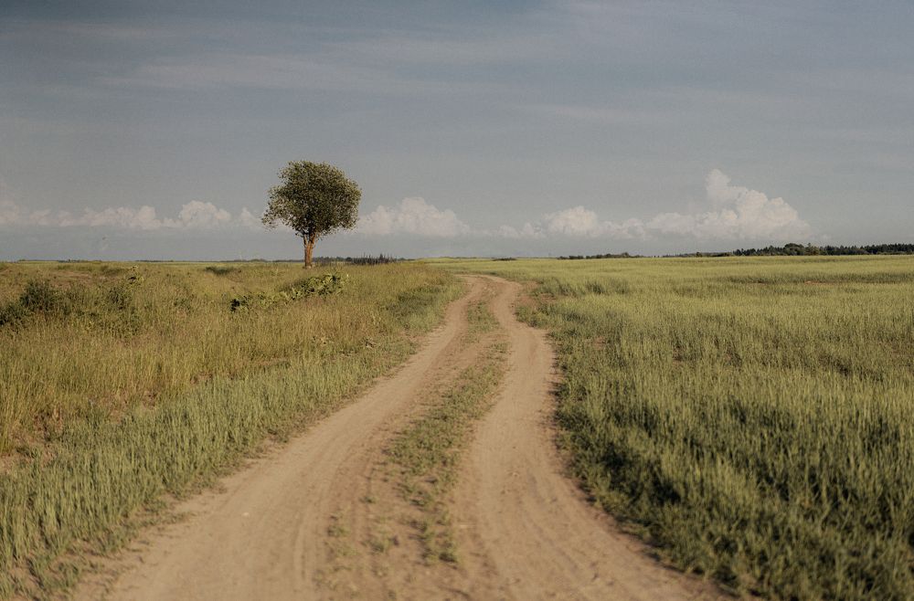 Photograph by Ирина Баландина