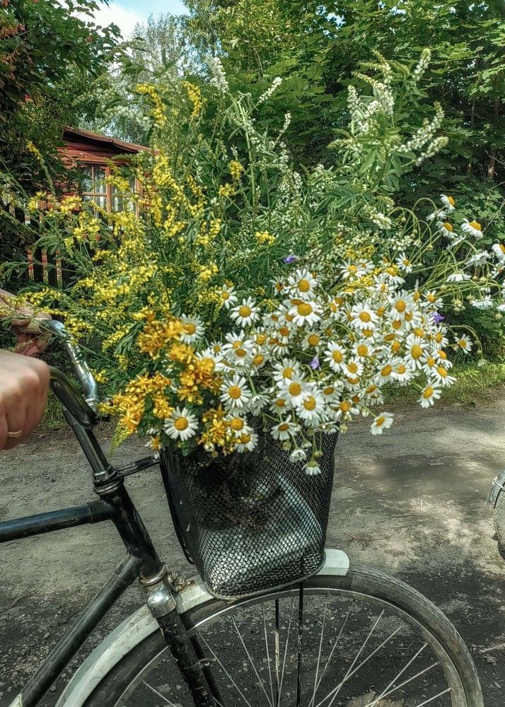 Photograph by Ольга Кривенцова