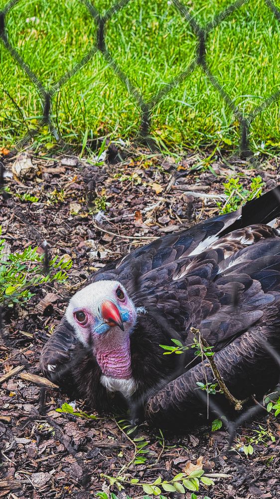 Photograph by Юлия